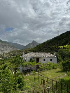 Guest House Noku - Koman - 0