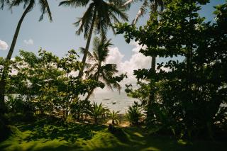 Coconut Suite - General Luna - 3