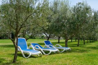 Uliveto Apartment - Fasana - 8