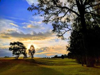 Madigan Cottages - The Homestead - Lovedale - 7