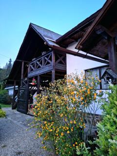Clematis House - Voroneț - 4