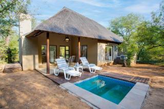 Kubu Bush Lodge - Hoedspruit - 9