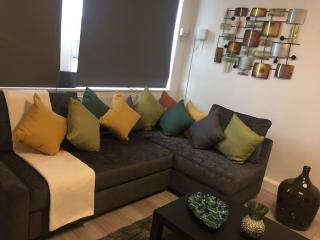 A charming 3 bedroom apartment fit for your stay - Londra - 9