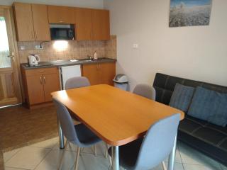 Apartmány Pod Sjezdovkou - Červená Voda - 2