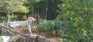 Maison calme et paisible - 7