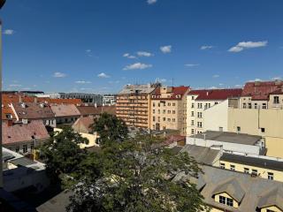 Remarkable 1-Bed Apartment in Praha - Praga - 0