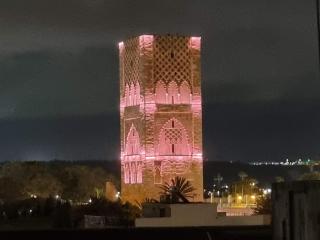 La main verte-Hassan - Rabat - 1