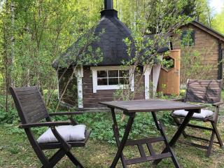 Moderni vierasmökki - 1