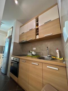 Apartment Stanic - Vračar (historical) - 8