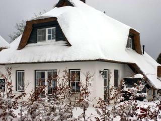 Reethus Starkikker - 2