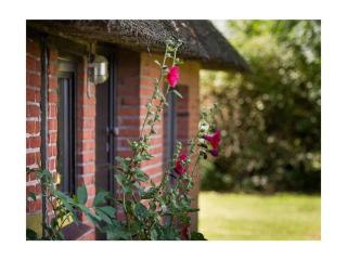 Hasenhaus Comfortable holiday residence - - 6