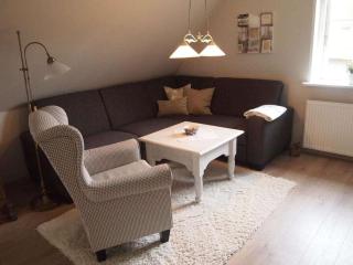 Brodersen Comfortable holiday residence - Nieblum - 7