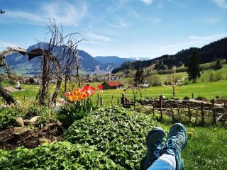 Blumenoase Allgäu - Blaichach - 2