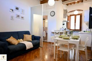 Inn Pisa Rentals 2- In The Heart of Pisa - 0