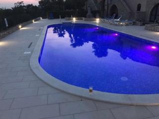 Casa Natura with swimming pool - Kaštelir - 4