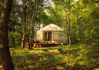 Dacza Puchacza Glamping - Stare Osieczno - 0