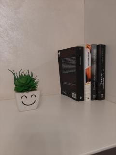 Santa Rita Suite - Torino - 4