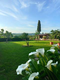 Agriturismo La Collina di Pilonico - Pilonico Paterno - 1
