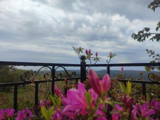 Christina's House - Neochori / Pelion - 6