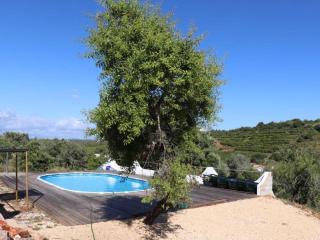 Countryside Villa in Silves - Silves - 8