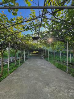 Cottage ,,Okatsia” ოკაციას კოტეჯები - 4