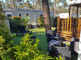 les dunes de contis - Saint-Julien-en-Born - 9
