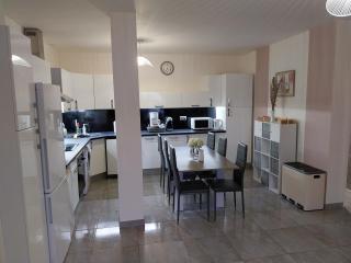 Appartement Gournay-sur-Marne - Gournay-sur-Marne - 4