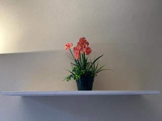 Appartamento Firenze Mayer - Firenze - 2