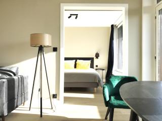 large apartment 55 m² ,view & terrace Paris - 9