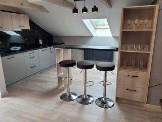 Apartament na wyłączność - Gołuchów - 3