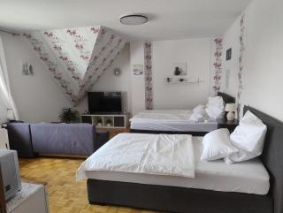 Geräumiges Appartment Nahe Hannover Messe - 3