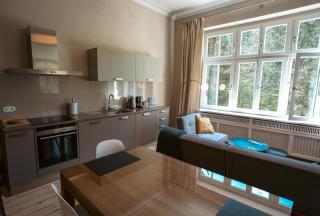 Villa Klara - Apartamenty Wakacyjne - Miedzygorze - 6