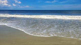 Bulldawg Beach Bunker by Tybee Vacation Rentals - 6