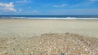 Bulldawg Beach Bunker by Tybee Vacation Rentals - 2