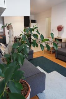 Charmant Appartement au Pré - Le Pré-Saint-Gervais - 6