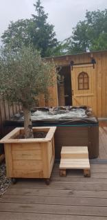 Ferienoase am Beetzsee mit Whirlpool und Sauna - Brandemburgo no Havel - 7