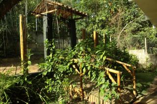 Casa Néctar Madeira - 1