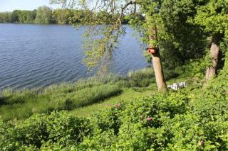 Ferienhaus direkt am Schmalensee - Schmalensee - 6