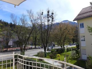 Ferienwohnung am Karlspark - Bad Reichenhall - 9