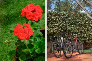 Orosei Home Holidays - Sa Vadde - 3