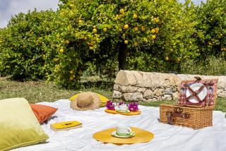 Tenuta Fiore Di Vendicari - Lemon Grove - 7