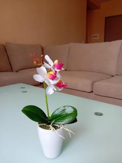 Vlore White Orchid Apartment - Vlorë - 2
