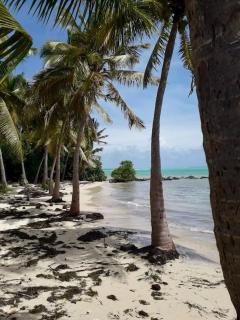 Sous les Tropiques - 3