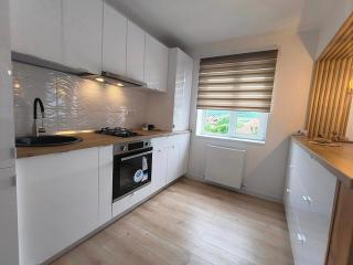 Apartament Theodora - Curtea de Argeş - 7