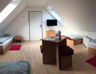 ZAPOMENUTÝ SKLÍPEK - 6