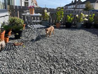 Withernsea holiday home - Waxholme - 1