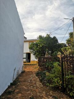 Casa do Olho D'Água - Portalegre - 9