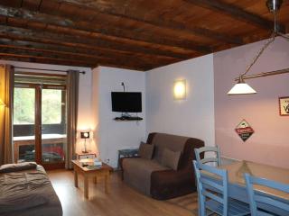 Appartement cosy rénové pour 6 pers, skis aux pieds, balcon sud, proche garderie, belles prestations - FR-1-322-257 - Les Orres - 9