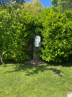 Neema - Barnstaple - 5