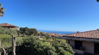 La tartaruga - Porto Rotondo - 0